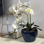 Appartement Radmanovic - Free Private Parking, Balcony, 10 Min To Center *